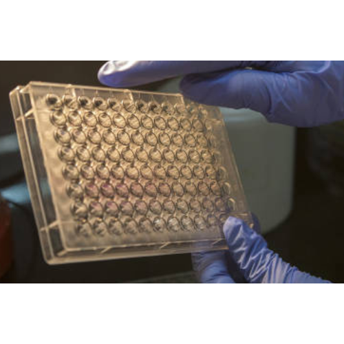 ELISA  ADIPOR1 Antibody, Biotin  