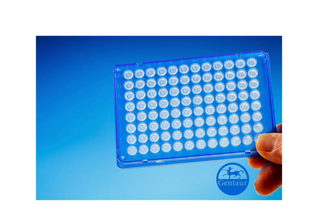 ELISA   ?-hydroxybutyryl-HIST1H2BC (K11) anti-