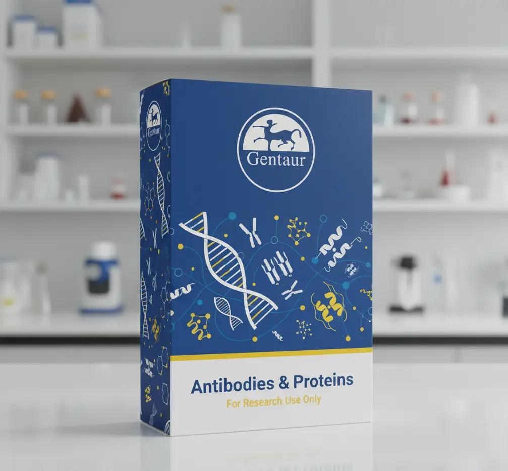 Anti-CD9 mouse monoclonal Biotin-conjugated - 100 µg