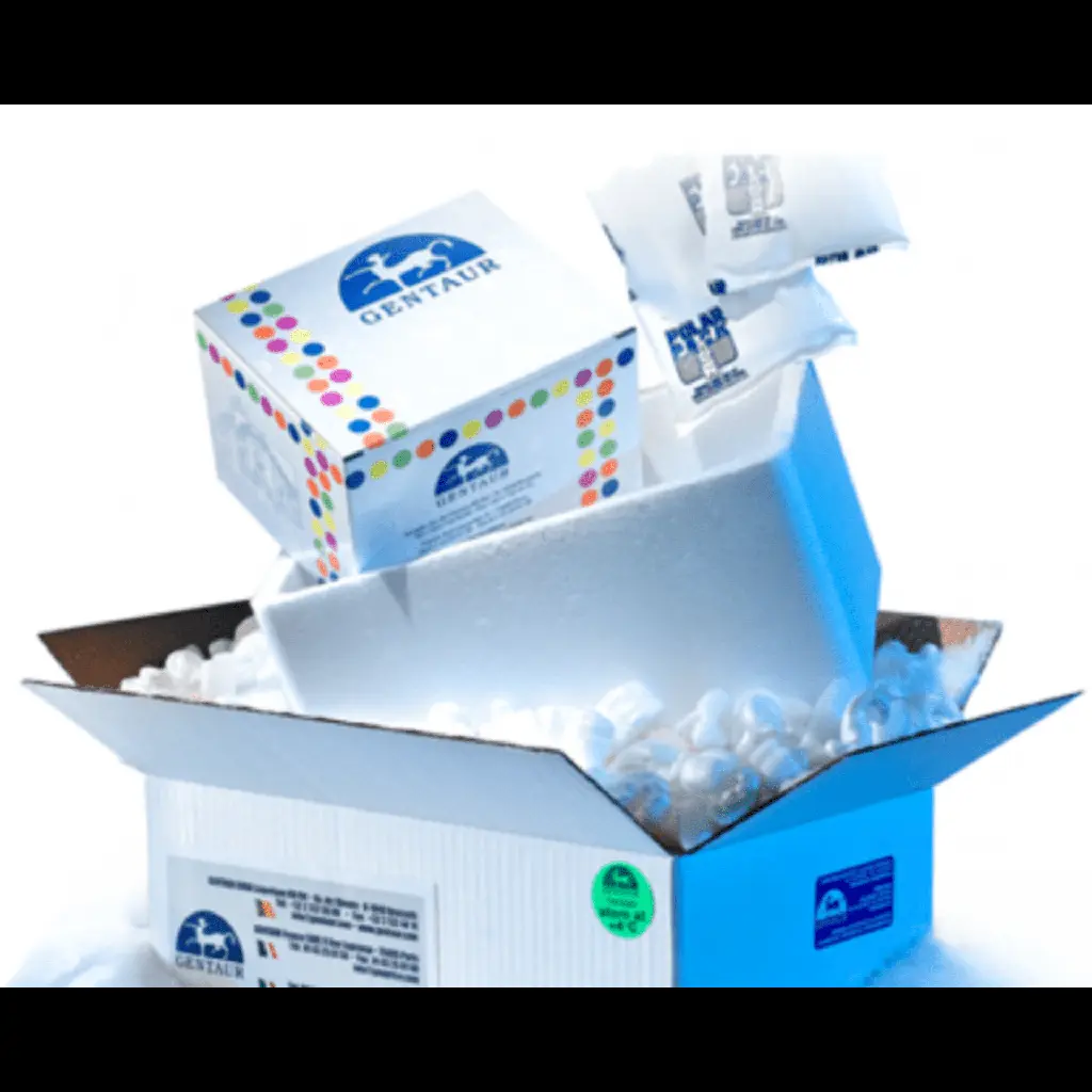 ELISA Kit for Glucagon Like Peptide 1 (GLP1) - 96 Tests