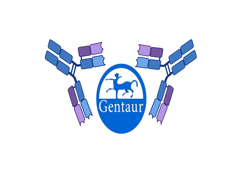 Beright SARS-CoV-2/ Influenza A+B/ RSV/ Adenovirus/ Mycoplasma pneumoniae Antigen Combo Rapid Test