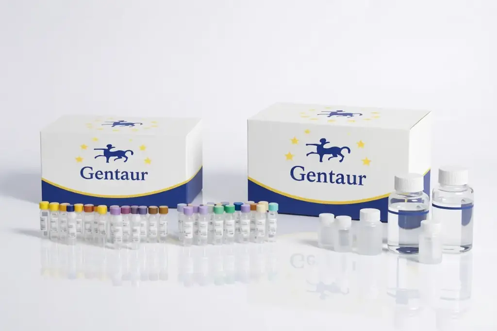 [K1331215P-sf] EzWay Human IL-7 ELISA Kit, pink-ONE